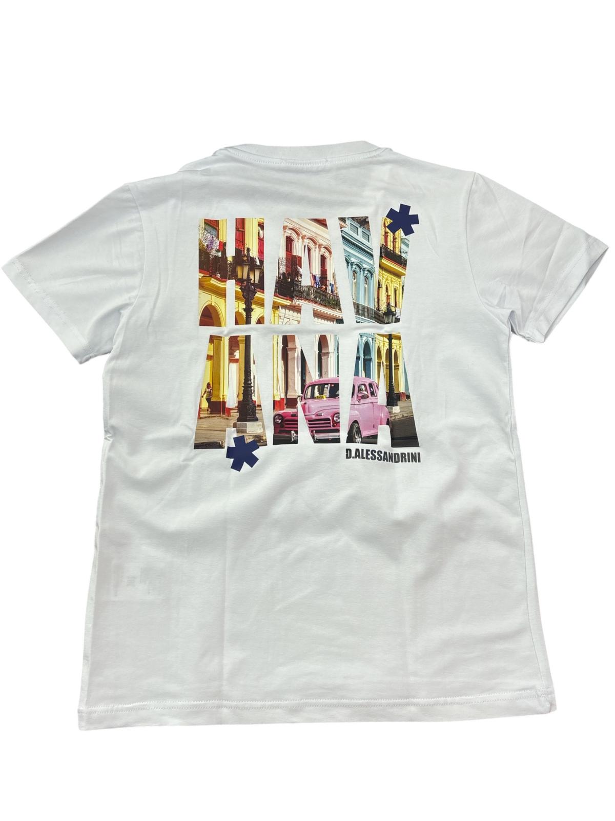 T-SHIRT - ALESSANDRINI